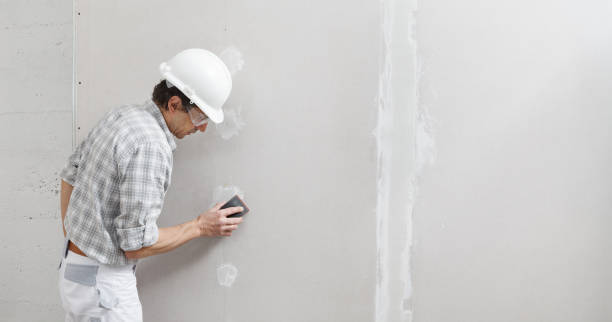 Best Water-Damaged Drywall Repair  in Virginia Gardens, FL